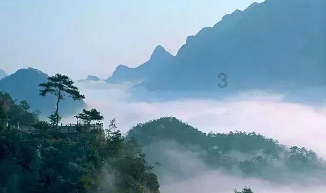 实验室里“春意”浓