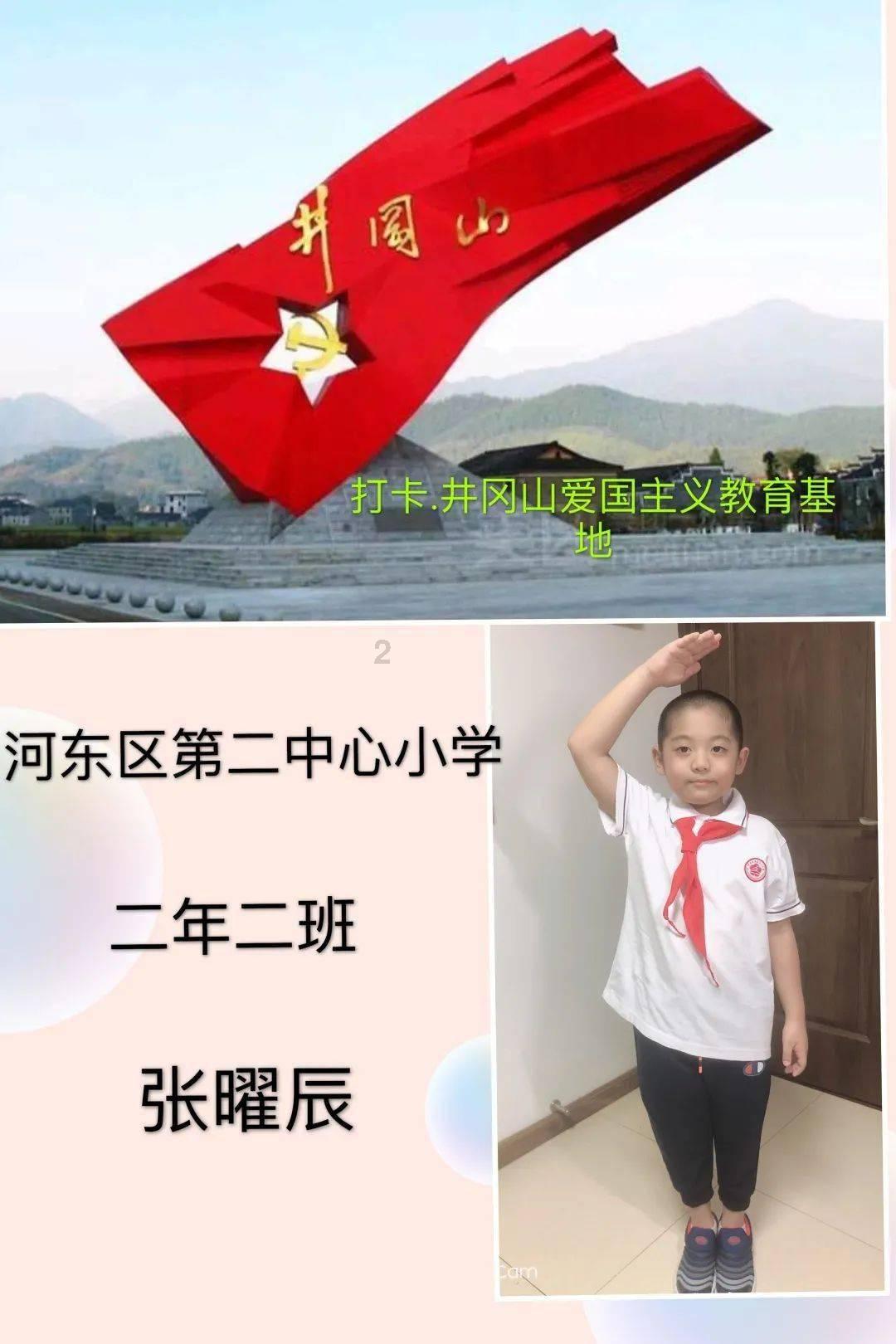 动物拼一拼
