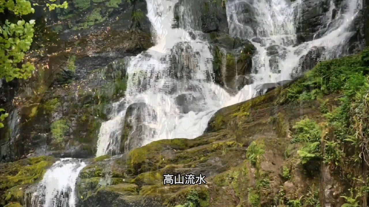 沉浸式休闲业态，成为培育新型业态、拉动文旅消费的重要力量