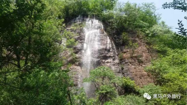 逃出猫头鹰岛